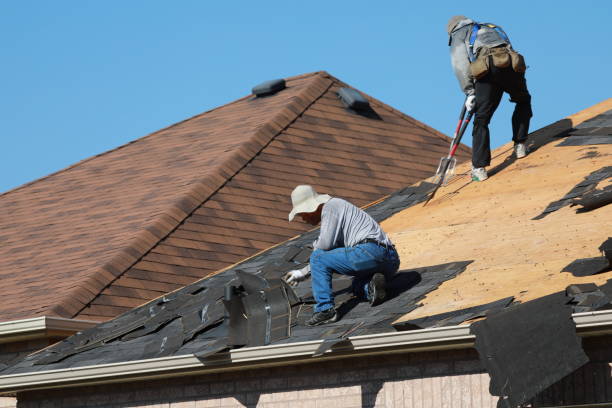 Best Roof Insulation Installation  in Matamoras, OH